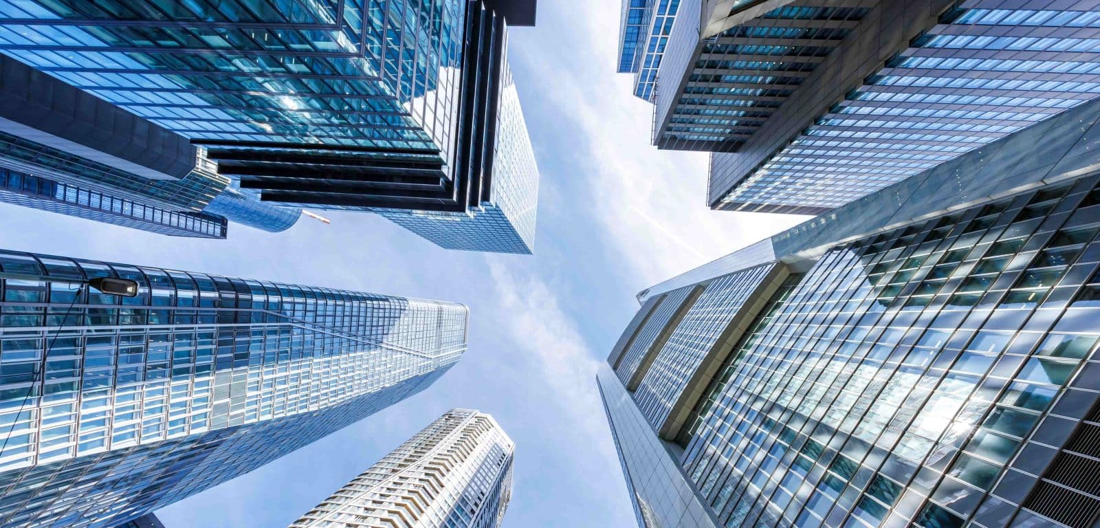 Professionelle Beratung für Unternehmen – Studio 11